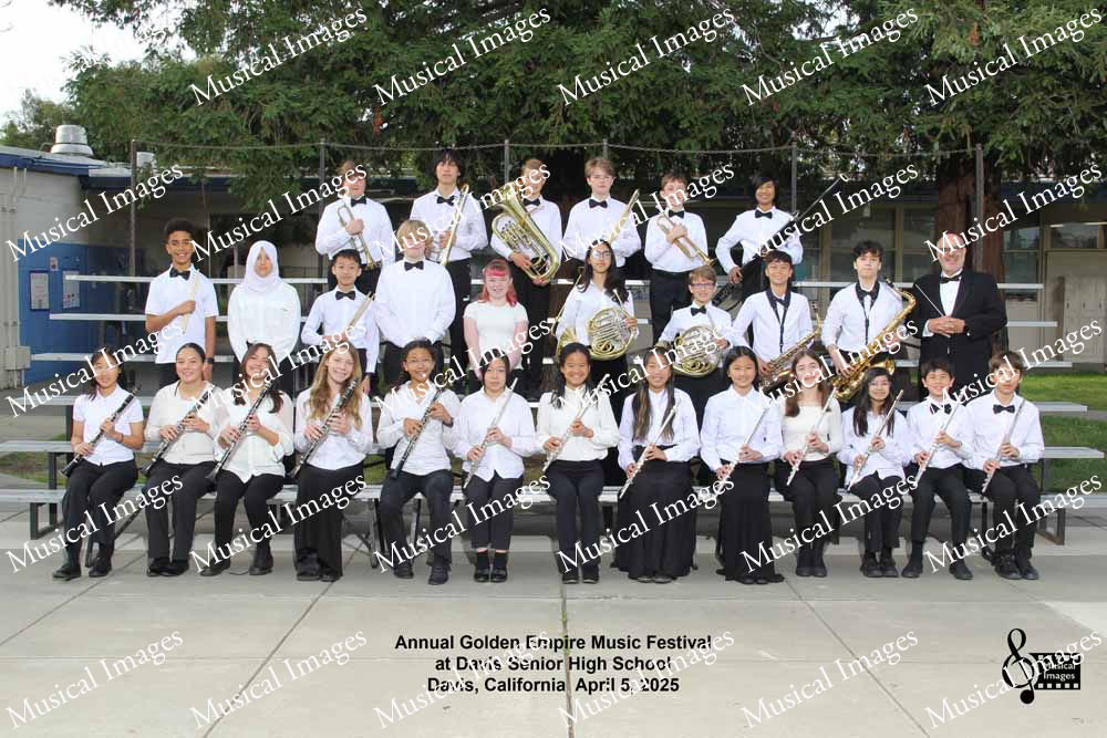 Musical Images